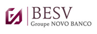 BESV Logo